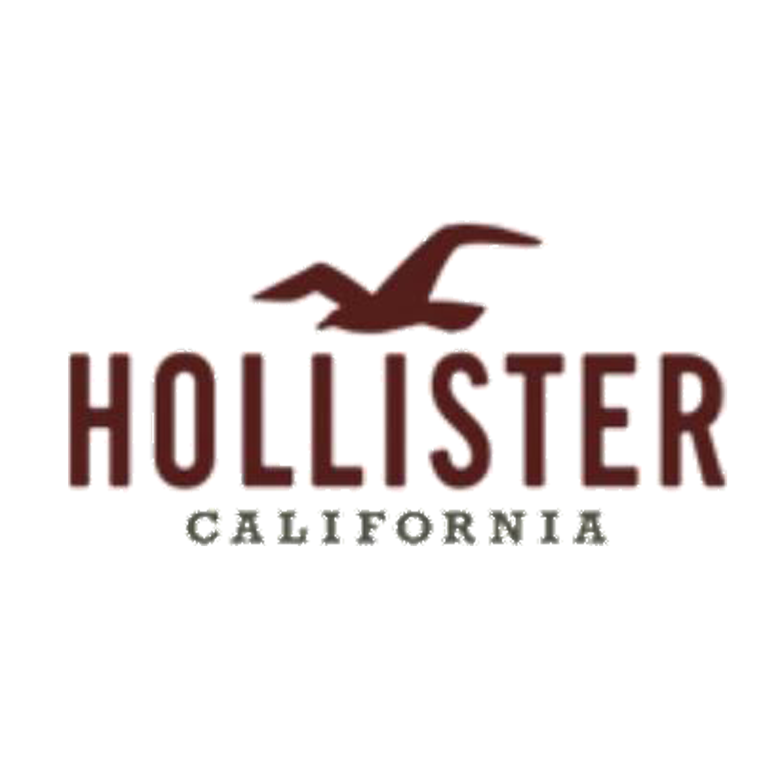 Hollister Co. kortingscodes