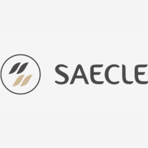 Saecle gift codes