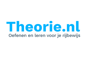 Theorie.nl logo