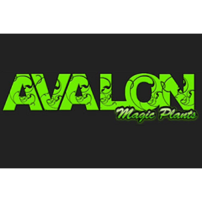 Avalon promotion codes