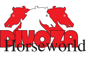 Divoza logo